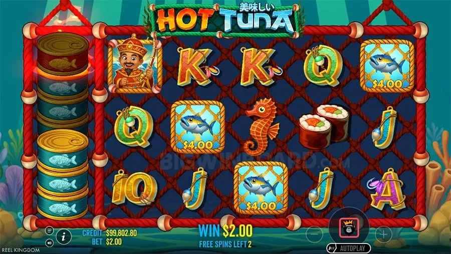 Sports Betting Tips Article
